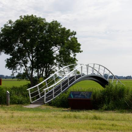 hoogholtjes 